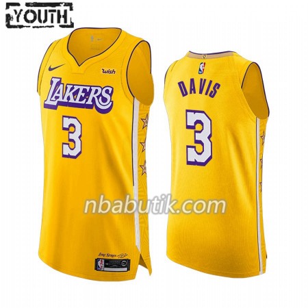 NBA Børn Trøje Los Angeles Lakers Anthony Davis 3 Nike 2019-20 City Edition Swingman NBA Børn Trøje Los Angeles Lakers Anthony Davis 3 Nike 2019-20 City Edition Swingman